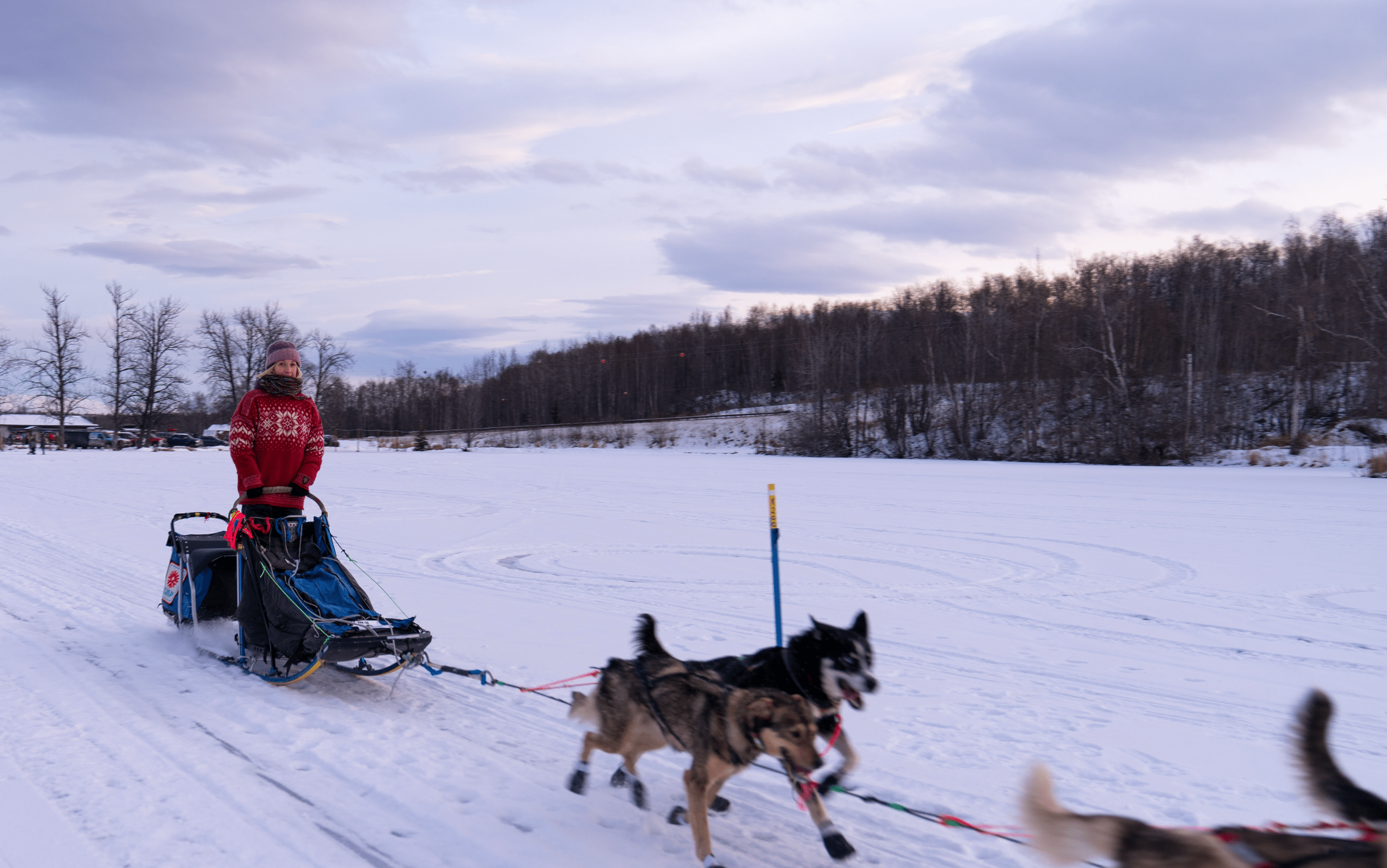 Dog Sledding at an Iditarod Kennel in Alaska: What Actually Happens - Hasan Akbas Fine Art