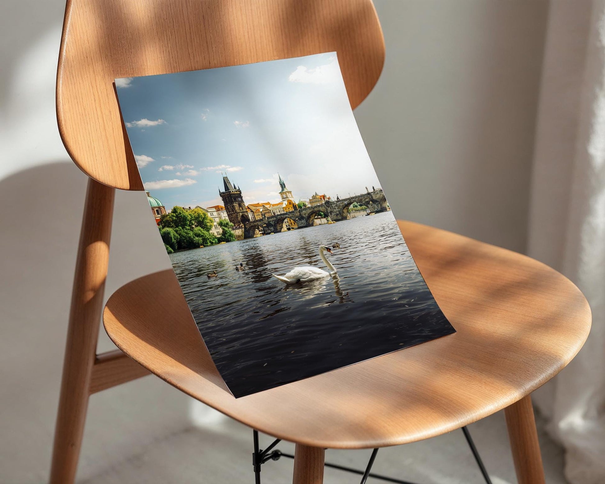 Prague Czechia Charles Bridge Print, Swan Vltava Photo, Gothic Riverside Wall Art, Home Decor - Hasan Akbas Fine Art