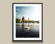 Prague Czechia Charles Bridge Print, Swan Vltava Photo, Gothic Riverside Wall Art, Home Decor - Hasan Akbas Fine Art