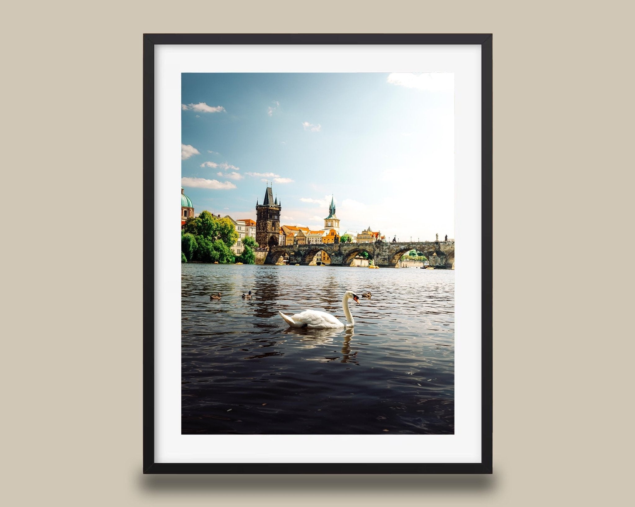 Prague Czechia Charles Bridge Print, Swan Vltava Photo, Gothic Riverside Wall Art, Home Decor - Hasan Akbas Fine Art