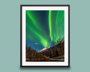 Alaska USA Aurora Borealis Wall Art Print, Northern Lights Photo, Winter Night Sky Home Decor - Hasan Akbas Fine Art