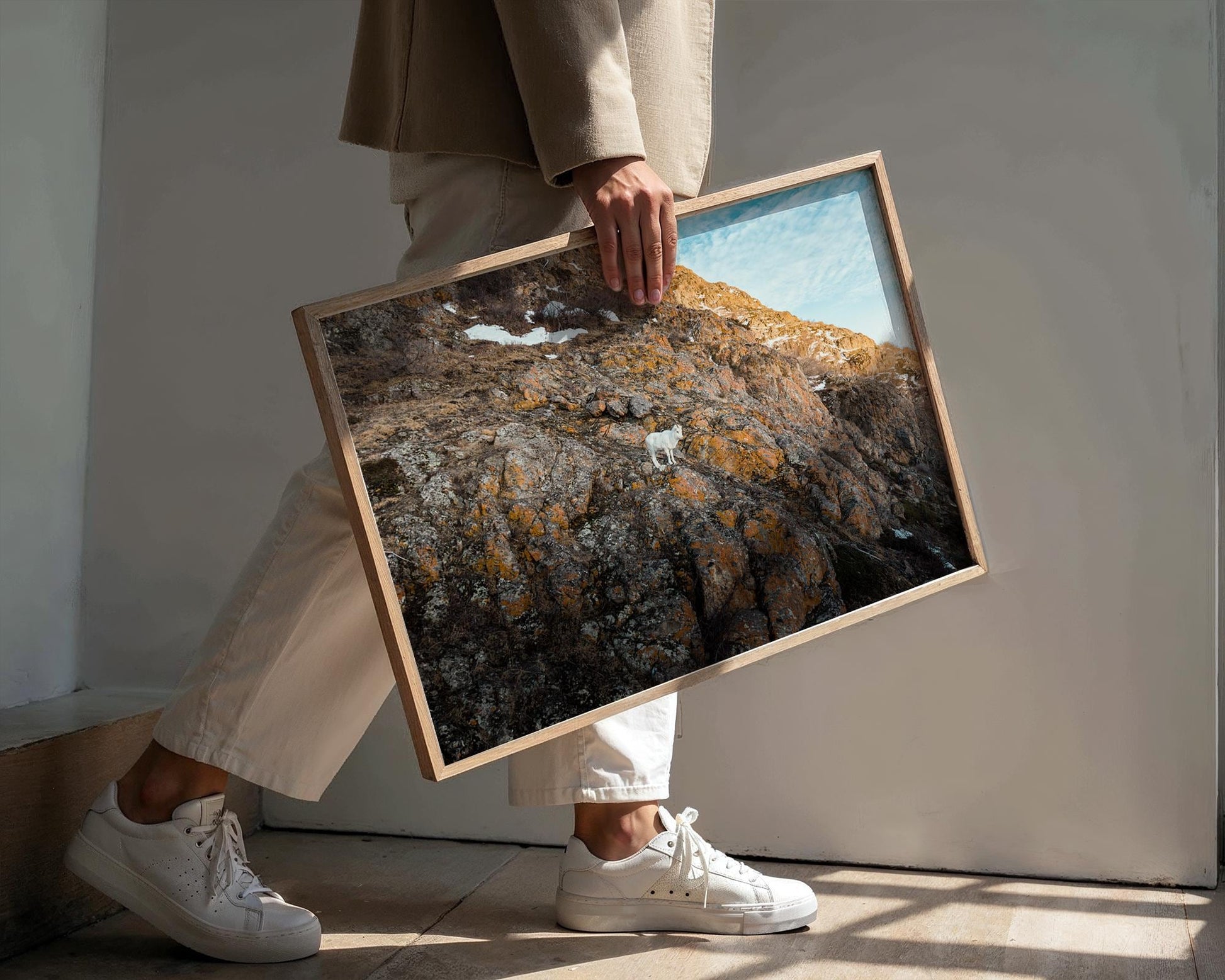 Alaska Mountain Goat Art - Wildlife Wall Art Print | Snowy Cliff Photography - Hasan Akbas Fine Art