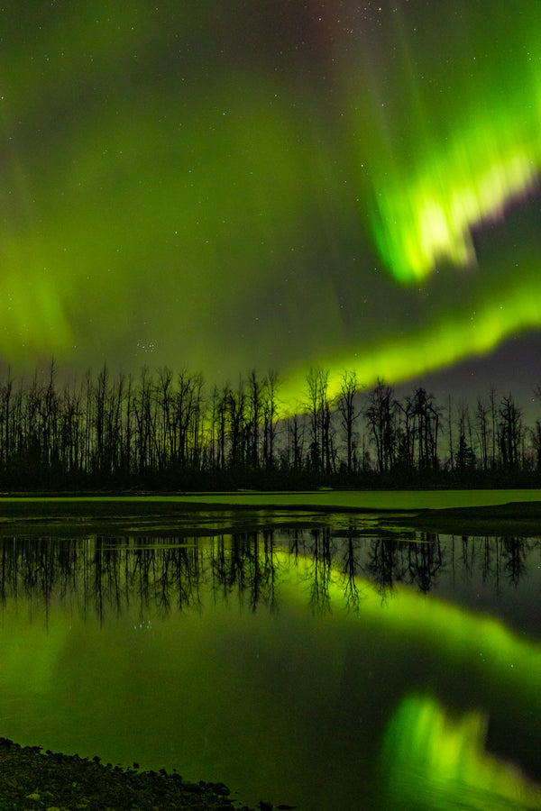 Aurora borealis over the Knik River, Alaska
