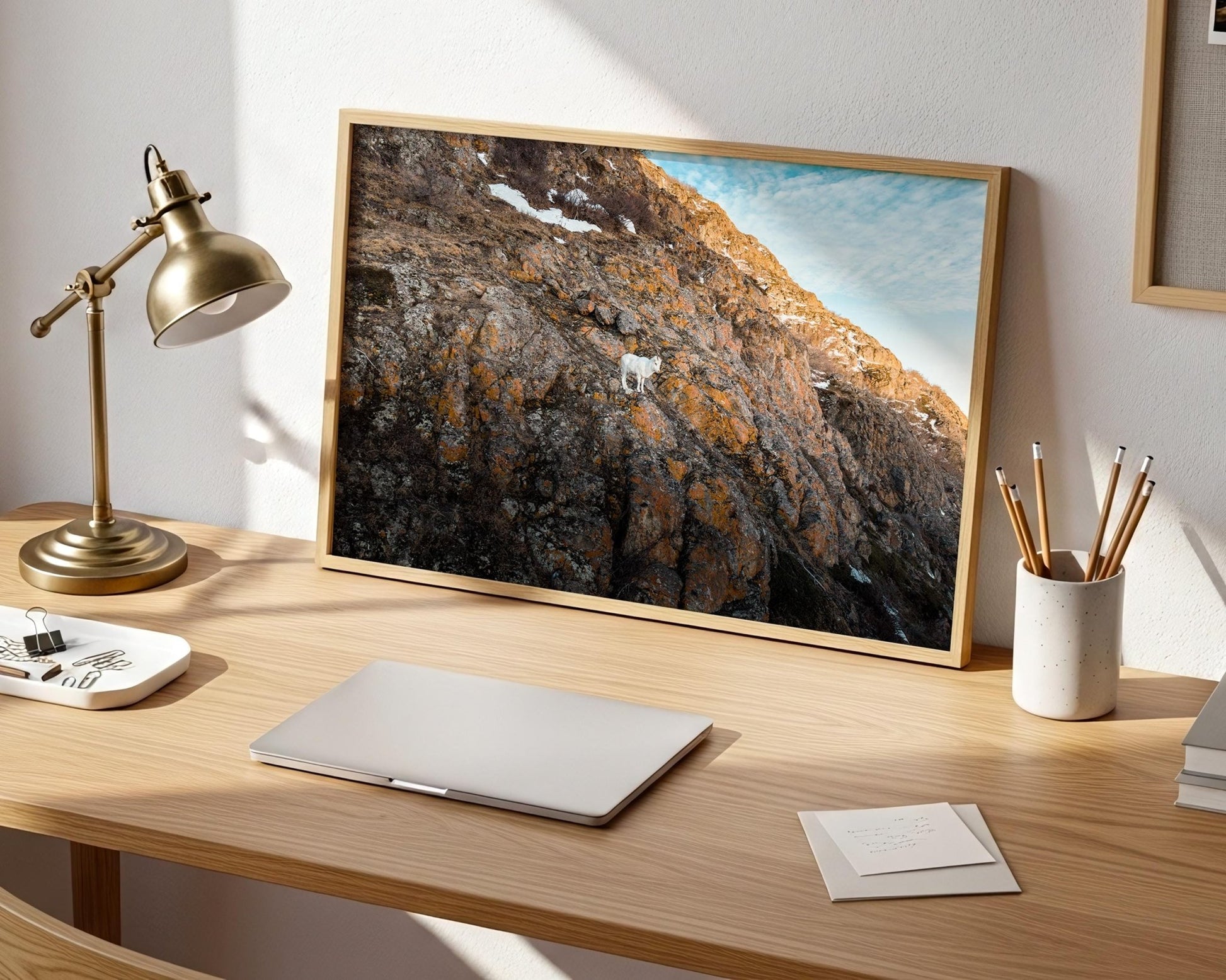 Alaska Mountain Goat Art - Wildlife Wall Art Print | Snowy Cliff Photography - Hasan Akbas Fine Art