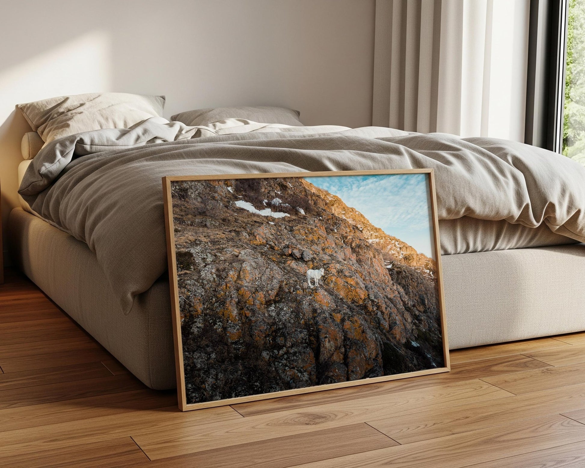 Alaska Mountain Goat Art - Wildlife Wall Art Print | Snowy Cliff Photography - Hasan Akbas Fine Art