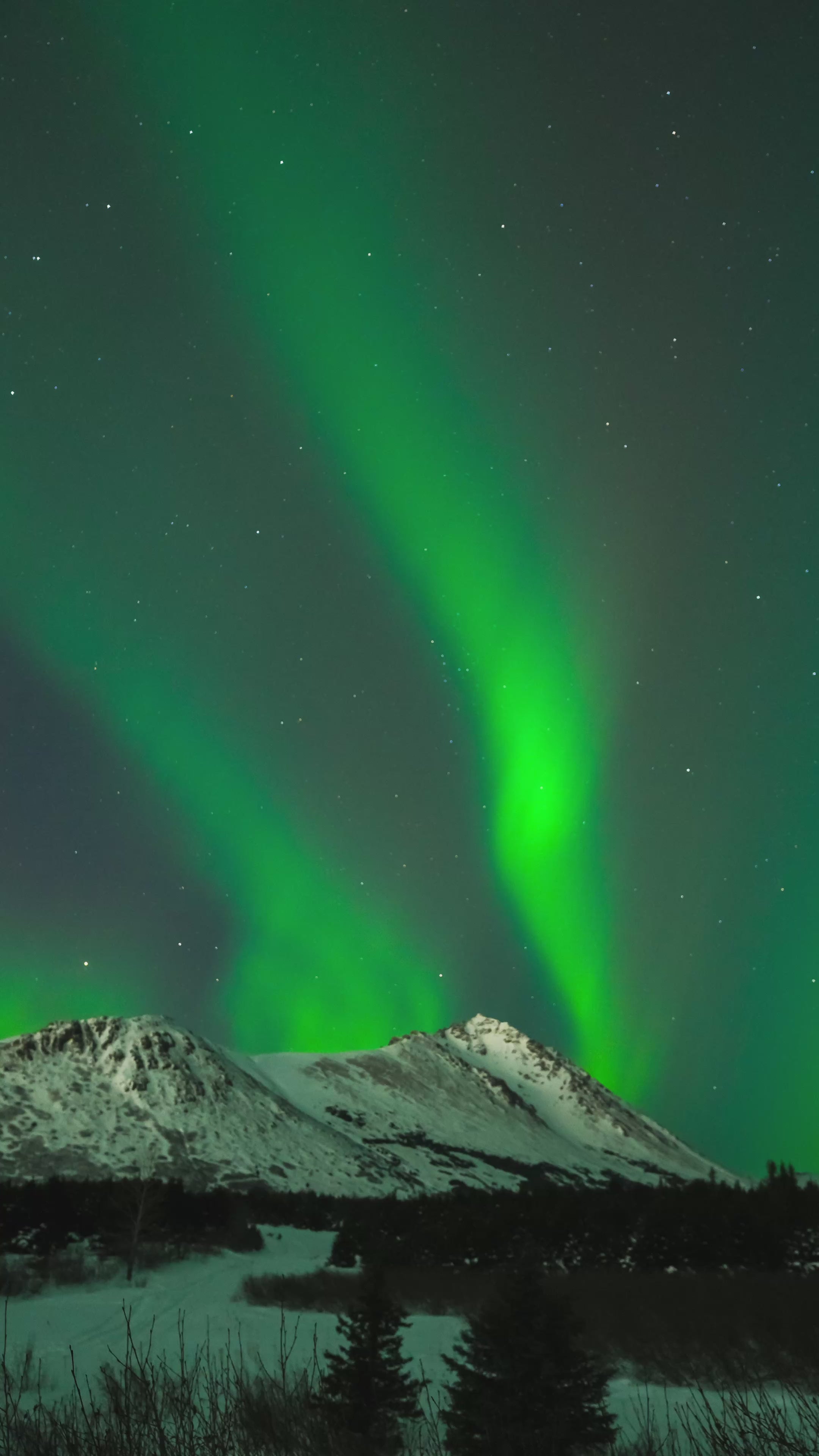 Load video: Alaska Northern Lights Tour from Anchorage | 4-Day Small-Group Aurora Trip